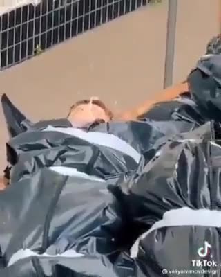 Playing Dead! - Reloaded from STFN