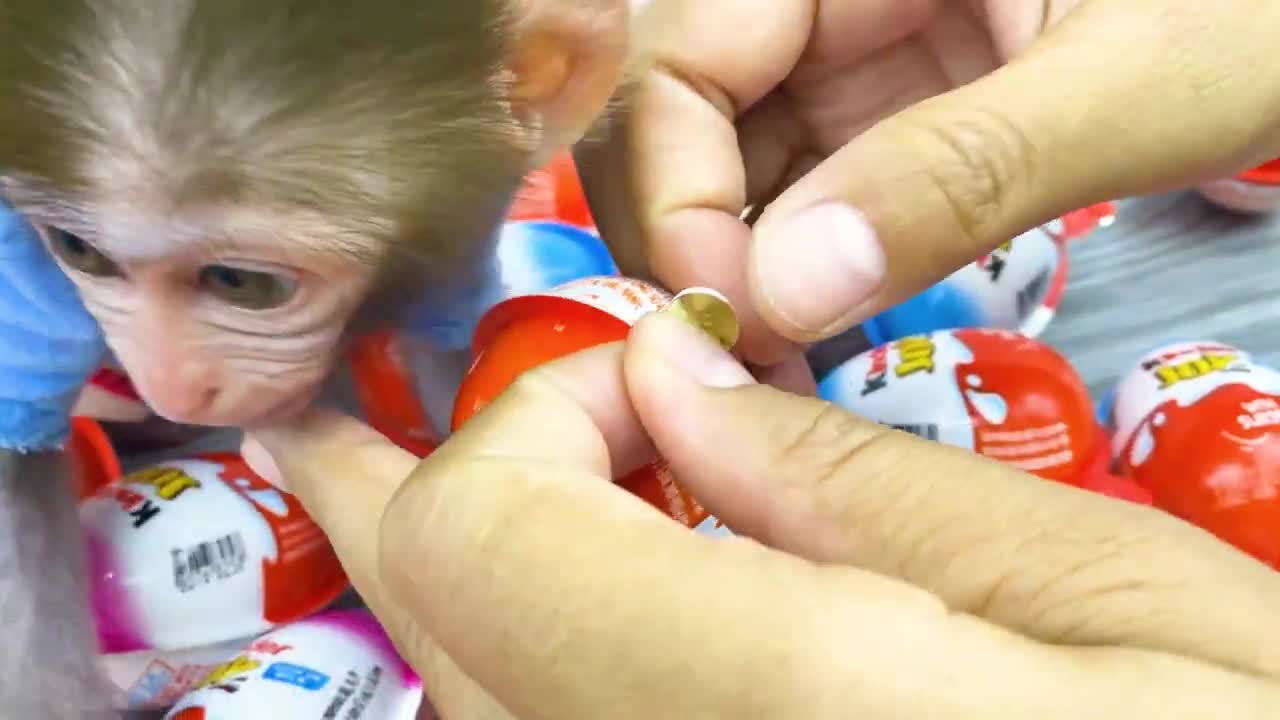 Monkey Baby Bon Bon and puppy open Yummy Kinder Surprise Egg contain toys and chocolate