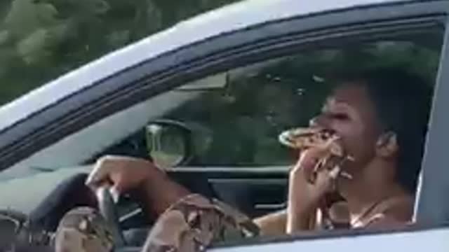 Woman drives down freeway with giant python hanging out of window