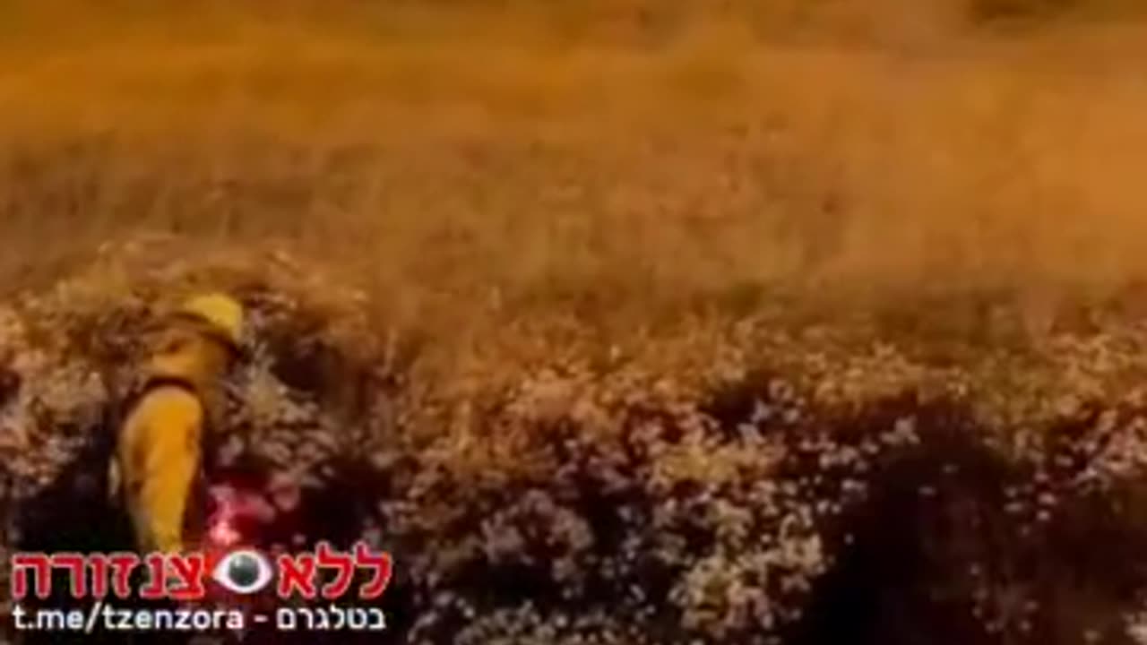 지구 온난화를 불태우는 것이 얼마나 쉬운가요