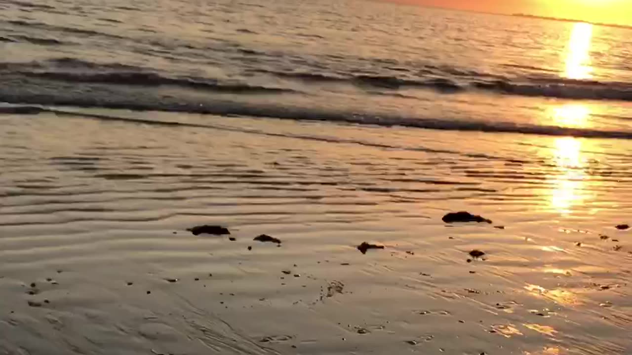 Beach Food ASMR