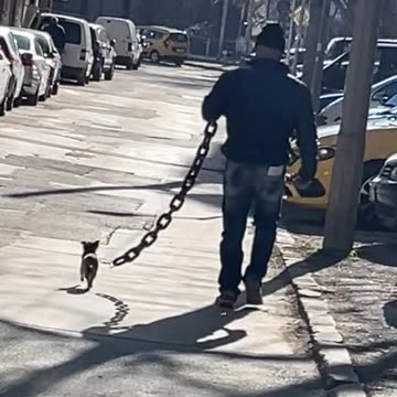 When your size doesn’t reflect your ferocity 🤣