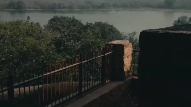 Funny Video