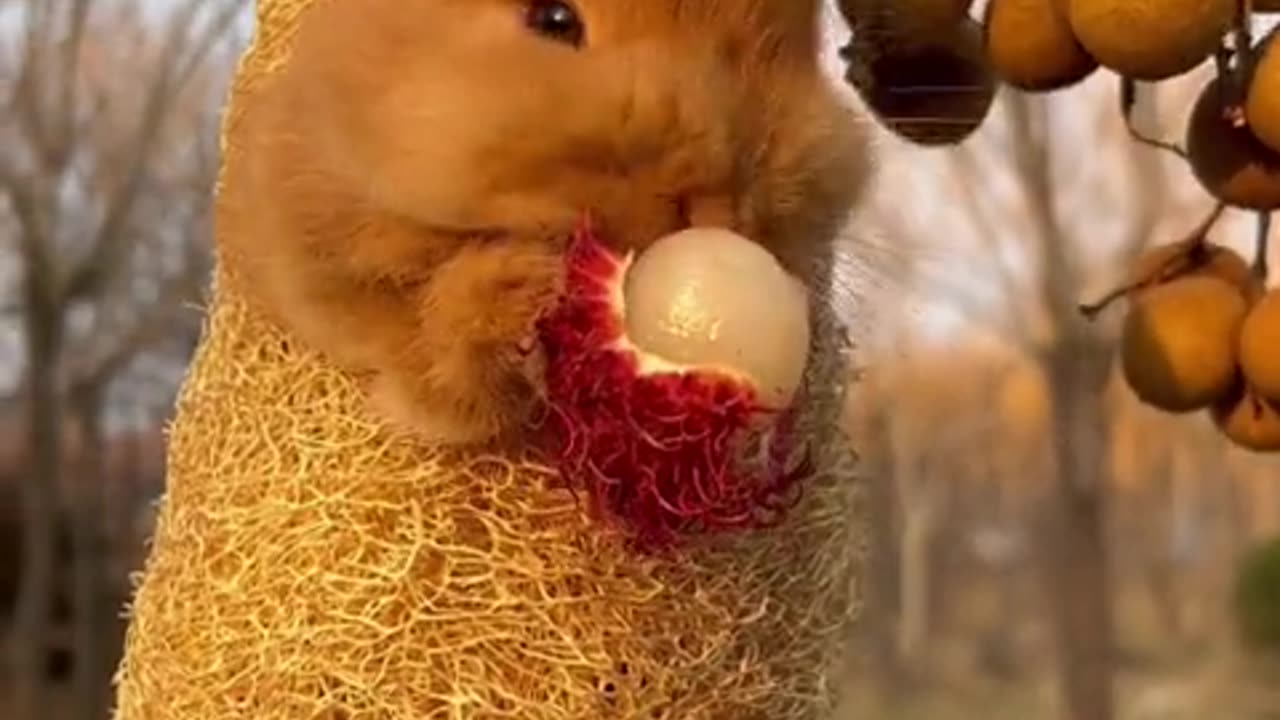 Two little hands hugging while eating, isn't it adorable?