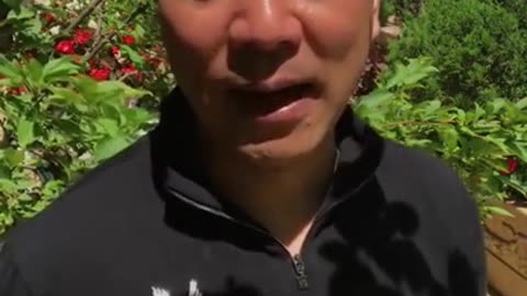 20180617文贵先生直播：父亲节谈与政法委老领导的通话！请草根警察不要伤害遭受不公平的草根司机！