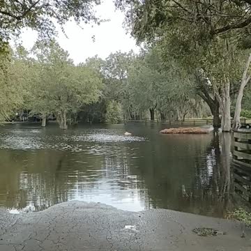 FLOODING IN FLORIDA
