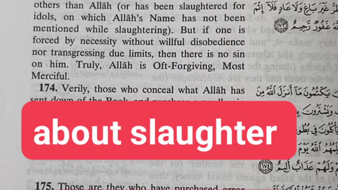 About slaughter