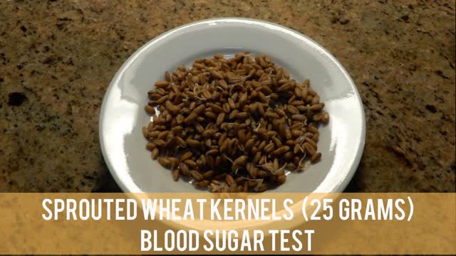 Sprouted Wheat Kernels - Blood Sugar Test