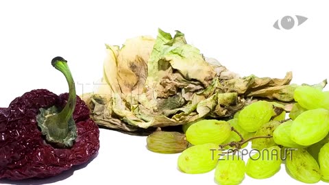Fruits and Vegetables Time Lapse