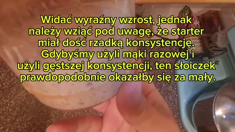 Przetestujmy starter żytni od znanego piekarza. Część 4.