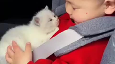 Cat and baby in masty in car