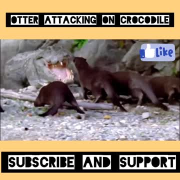 Wildlife Struggle For Existence #shorts#4Mview#Technicalexpertguru