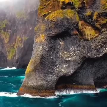 Elephant rock video