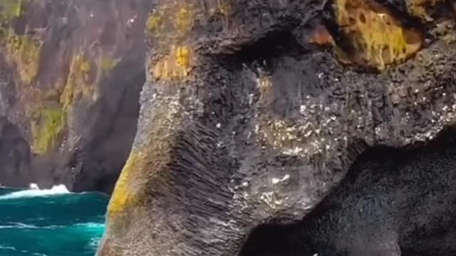 Elephant rock video