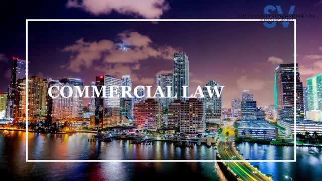 Law Offices Of Steven Veinger, P. A. - Criminal & Immigration Law, Lemon, Commercial & Family Law