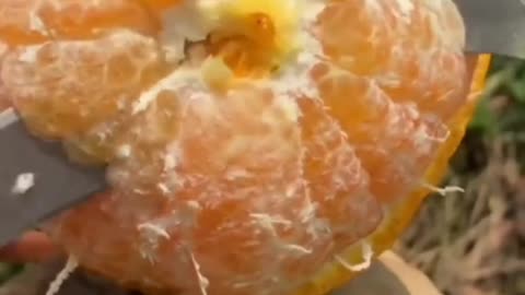 Fruits Video Farm Fresh Ninja Fruit Cutting Satisfying Fruit | Amazing Fruits Video #fruits #short