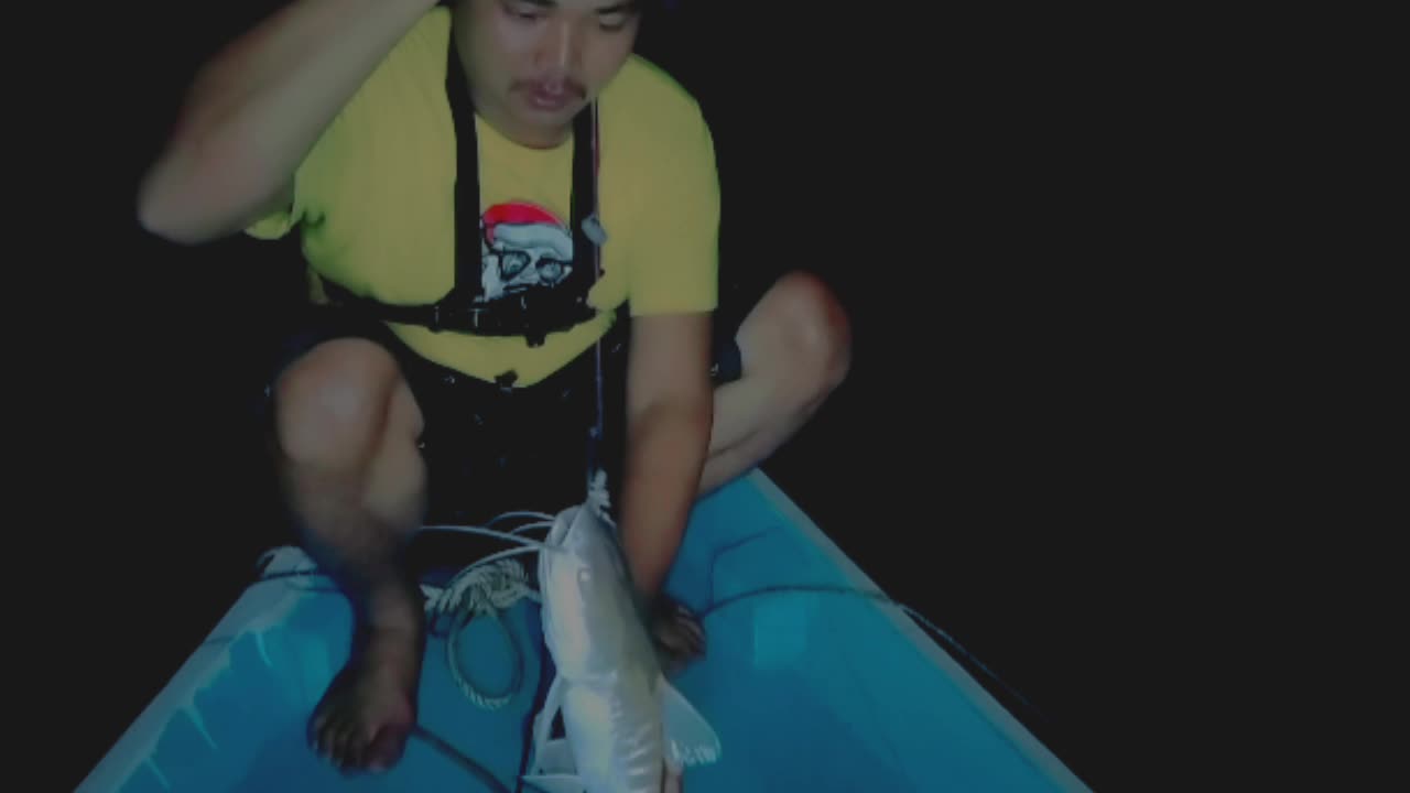 fishing monster fish at night