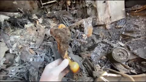 Man eats Man
