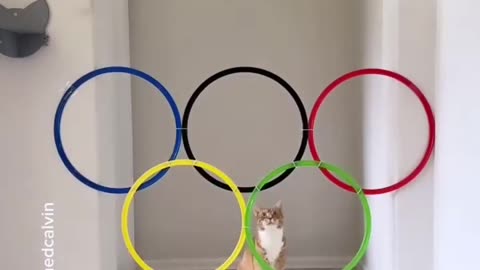 My Olympics