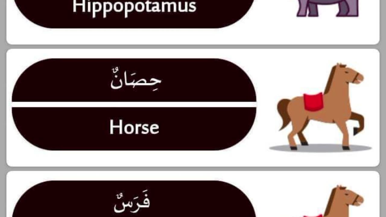 Learn Arabic