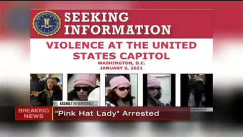 Pink hat lady mother of eight