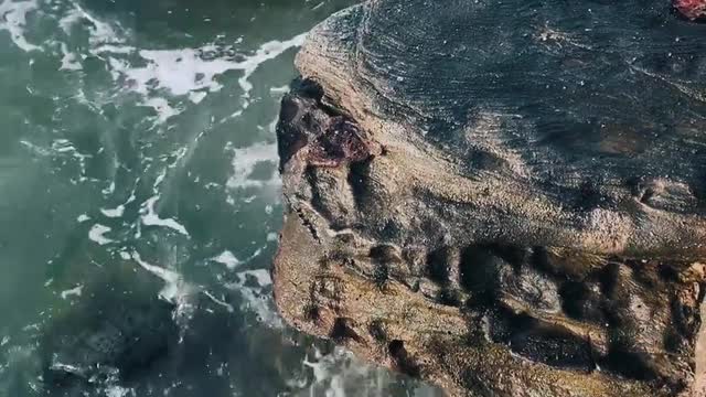 ocean-waves-crashing-on-rocks
