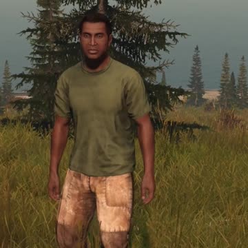 I Met DayZ Player With No Mic