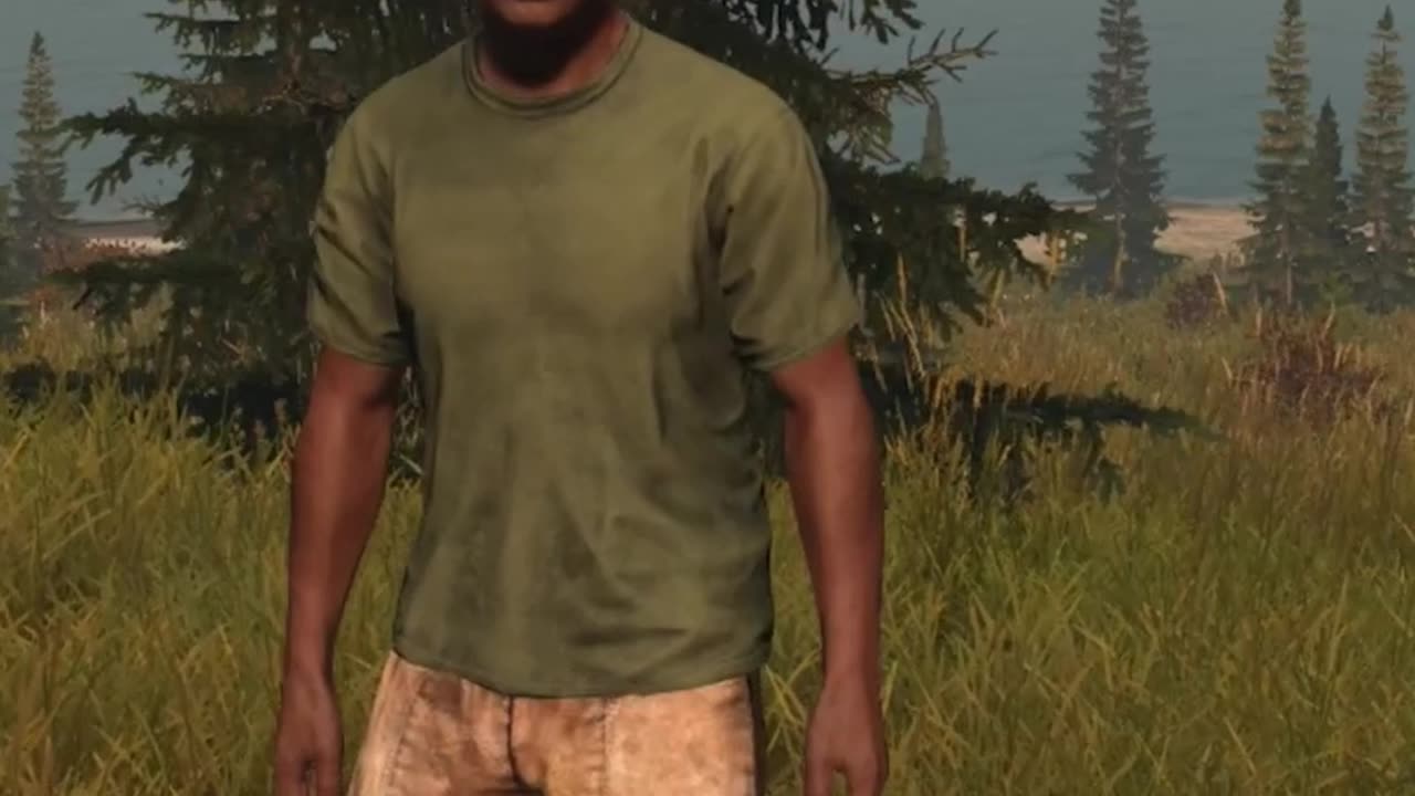 I Met DayZ Player With No Mic