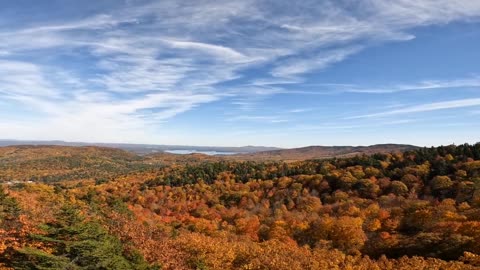 Fall Foliage