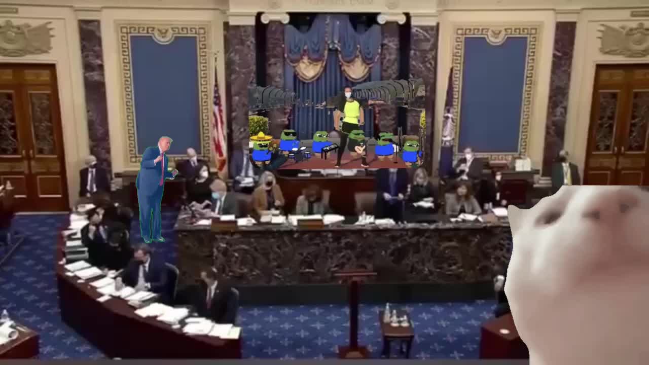 Lit with trump Myanmar and the pepe band