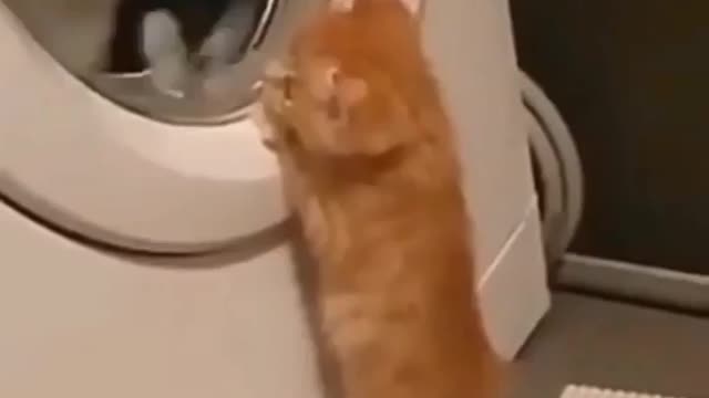 Funny and cute