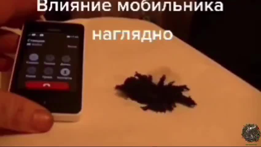 Graphene Reacting To EM Field From A Cell Phone