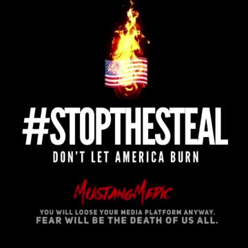 #stopthesteal or all will be lost on all media platforms