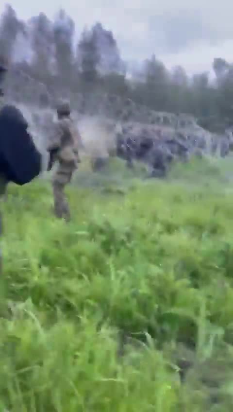 🇵🇱 È COSI' CHE I POLACCHI ACCOLGONO AL CONFINE I RIFUGIATI ...