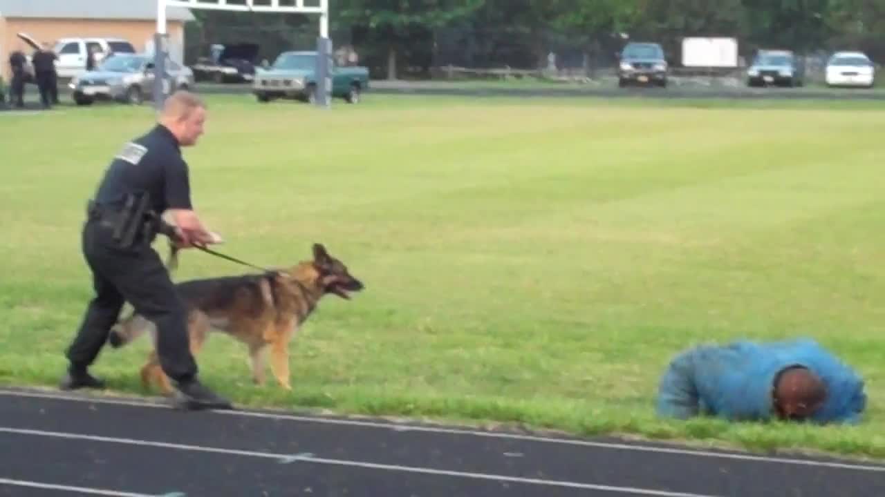 Multi-agency K-9 Police Demonstration