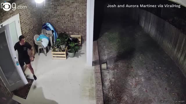 Quick-thinking dad springs into action to save dog being chased by a bear in Flo
