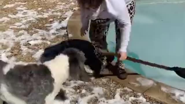 Girls Falls in Icy Cold 🥶 Water as She Prods Frozen Pool with Shovel