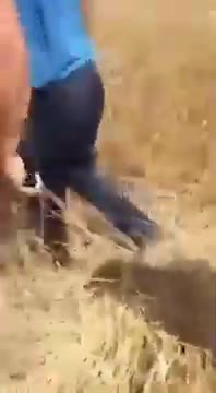 Rolnik odkrywa "zmianę klimatu" na jednym ze swoich ocalałych pól pszenicy które nie spłonęło🤔🤫