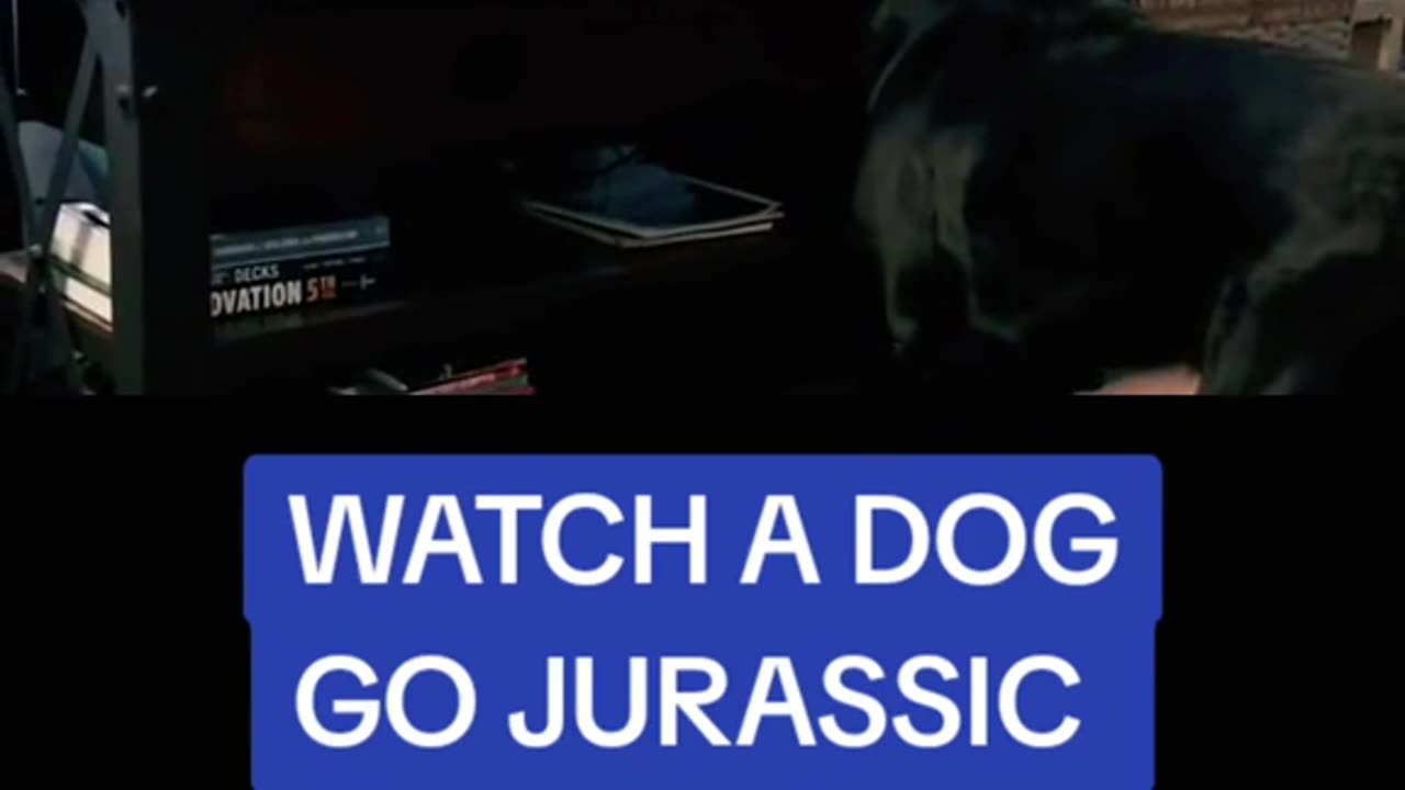 Funny dog & Jurassic P