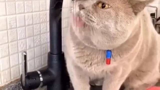 I’m so thirsty...I ate too many salty fishes...