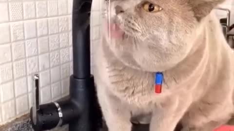 I’m so thirsty...I ate too many salty fishes...
