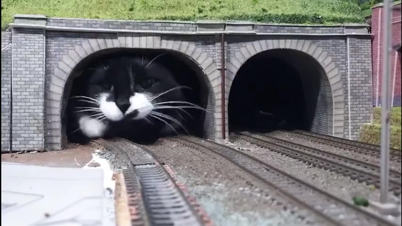 ⚠️⚠️⚠️ This is why you should NEVER stay near the exit of a railway tunnel!