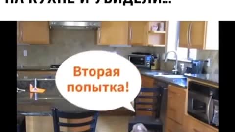 супер пёс