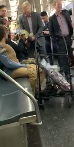 Men passing around lizards on train
