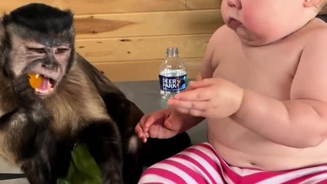 Dog And Baby SHARE Food