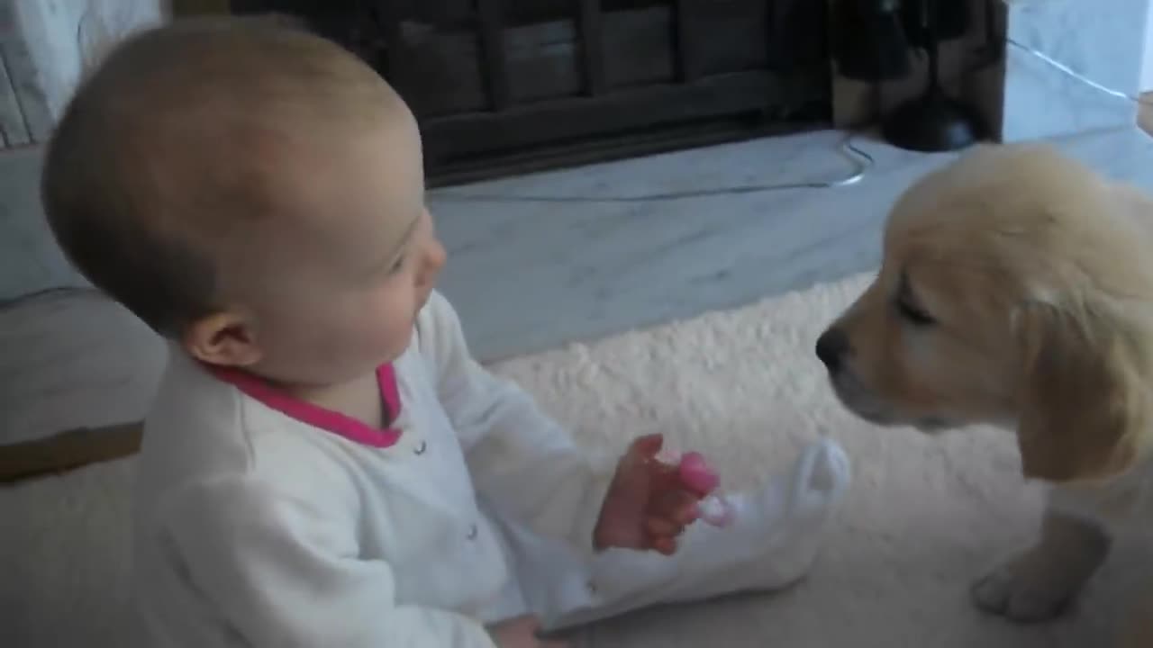 Baby and Puppy meet for the first time!