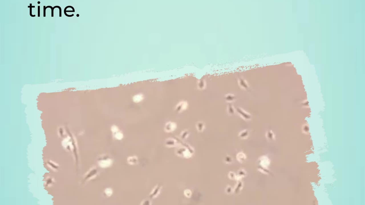 How many Passage* can I Obtain with Primary Cells? #kosheeka #primarycell