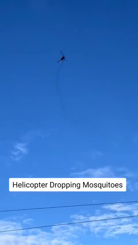 Bill Gates dropping skeeters on the people of cali