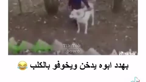 Palestine Gaza12
