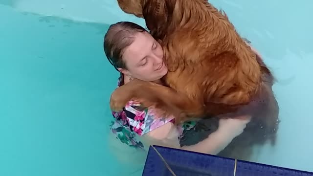 Big Baby Dog Loves the Pool